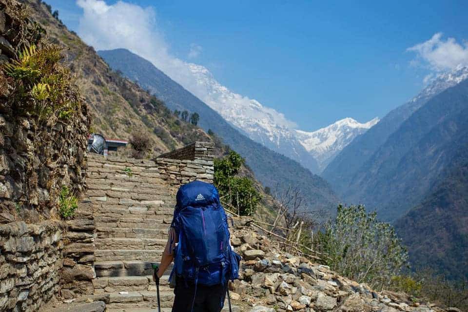 Journey Through Jhinu Danda: A Trekker's Paradise